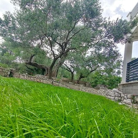 Vila Dolani Klek Ngoại thất bức ảnh